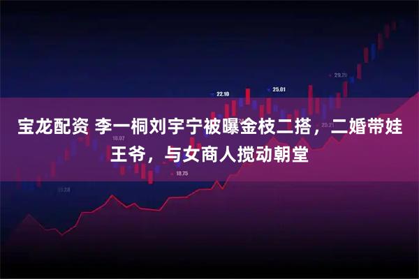 宝龙配资 李一桐刘宇宁被曝金枝二搭，二婚带娃王爷，与女商人搅动朝堂